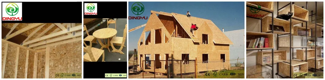Plywood, High Quality Cheap OSB for Furniture and Outdoor Construction