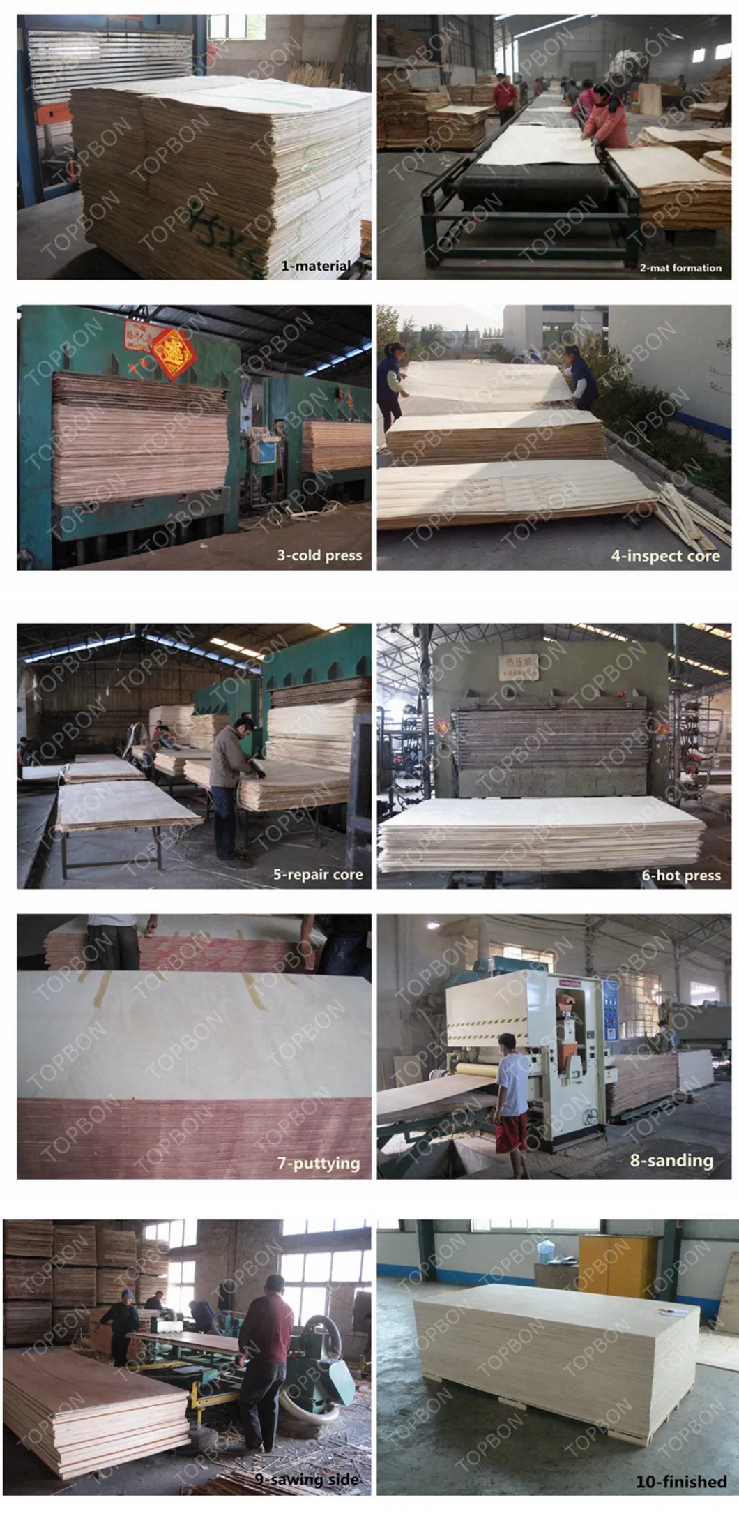 Furniture Plywood/Commercial Plywood/Plywood with Competitive Price
