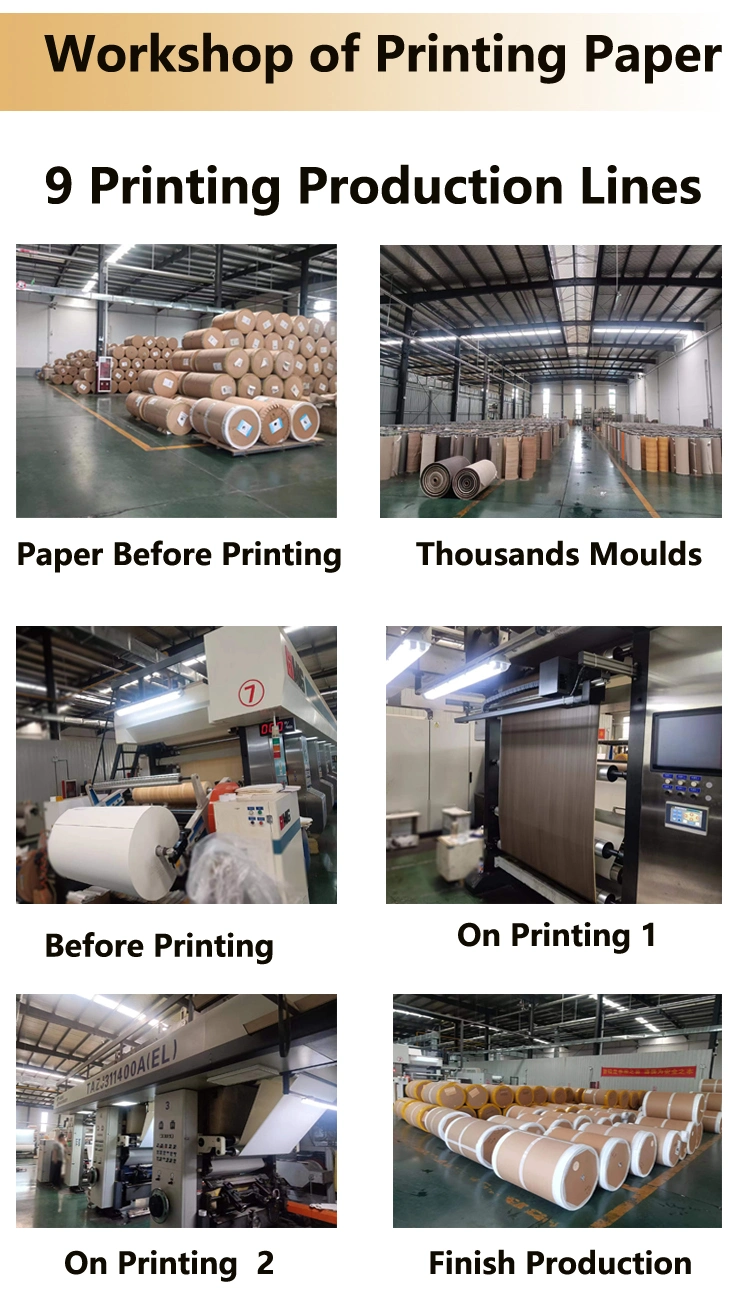 Decorative Furniture Laminated Films Printing Melamine Impregnated Paper Made in China